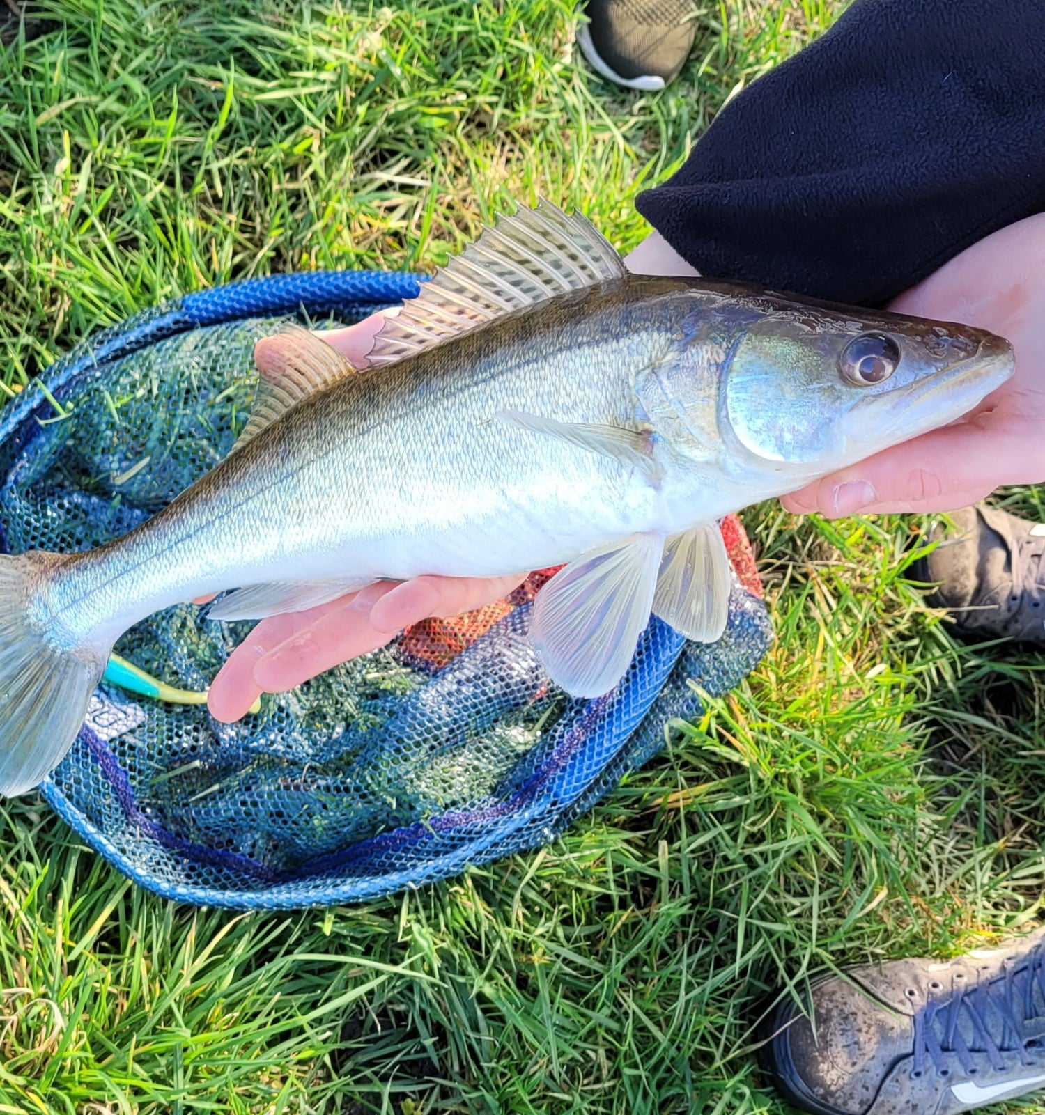 GuFi Shad 12,5cm