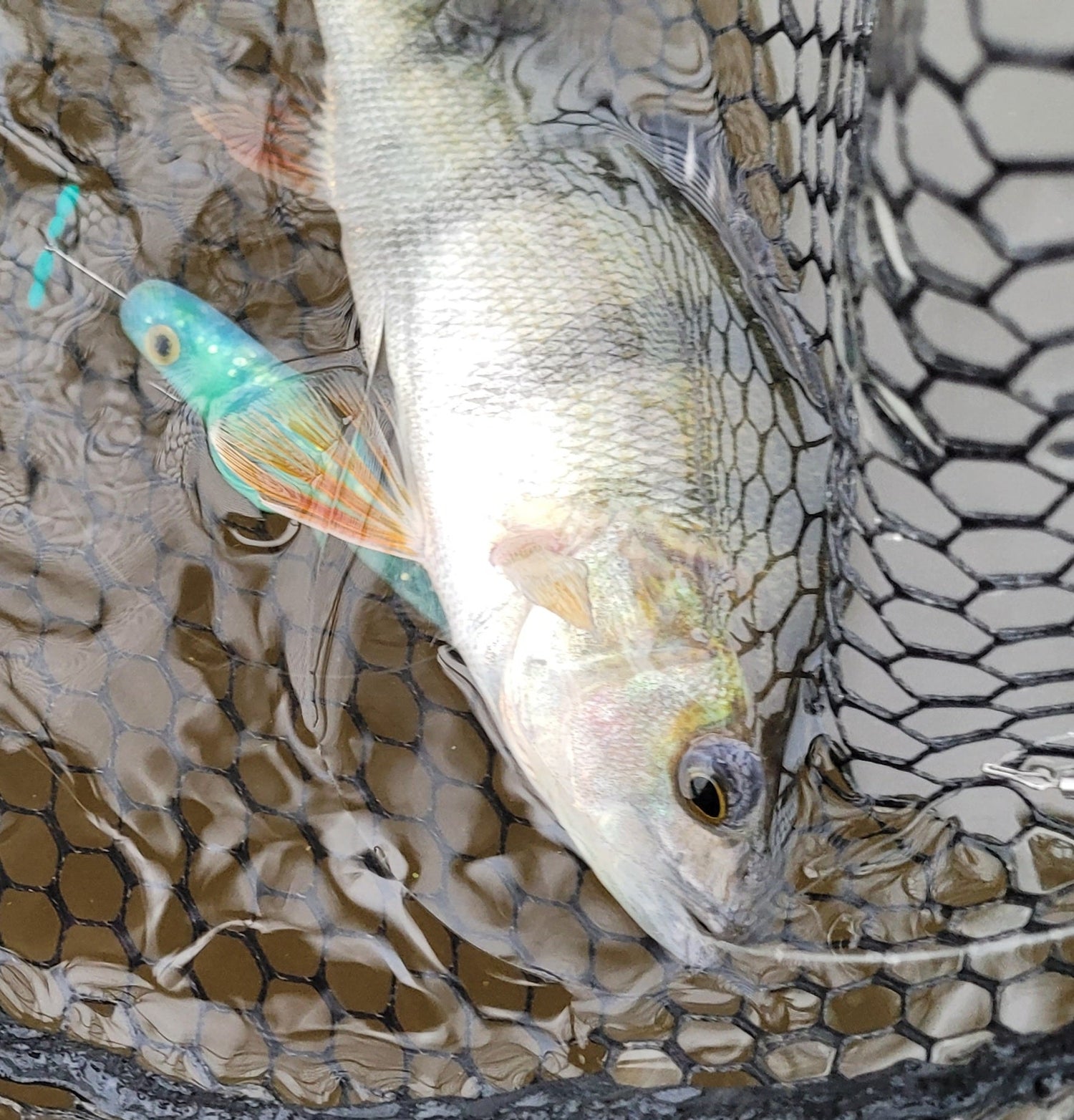 GuFi Shad 8cm